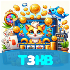 T3KB visual
