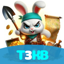 T3KB visual