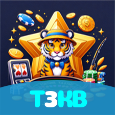 T3KB visual