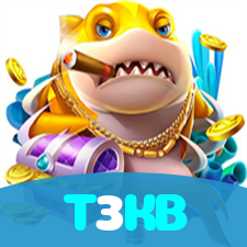 T3KB visual