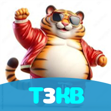 T3KB visual