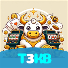 T3KB visual
