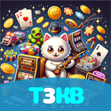 T3KB visual