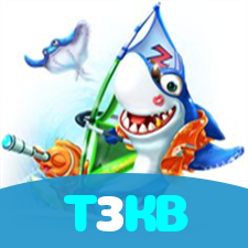 T3KB visual