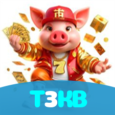 T3KB visual